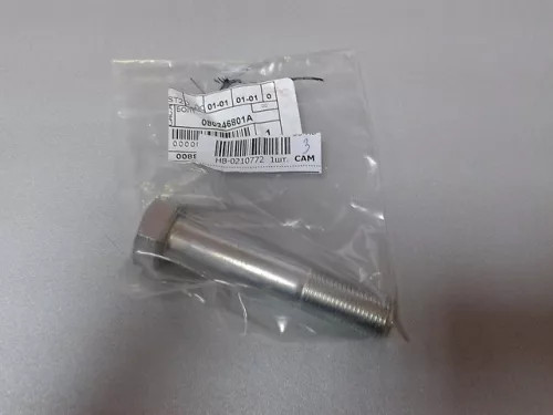 Front Control Arm Bolt (Axle Side) Nissan Patrol Y60 Y61