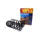 Terrain Tamer coil spring rear +40mm +100Kg Comfort Progressive Nissan Patrol Y60 Y61
