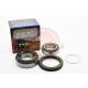 Wheel Bearing Kit With Heavy Duty Seals Nissan Patrol Y60 Y61