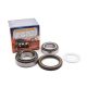 Wheel Bearing Kit With Heavy Duty Seals Nissan Patrol Y60 Y61